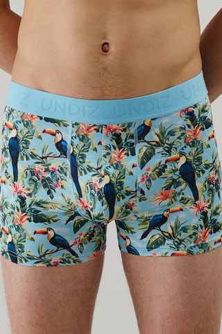Boxer Repeatiz - Ciel