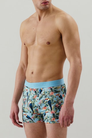 Boxer Repeatiz - Ciel