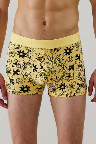 Boxer Repeatiz - Jaune