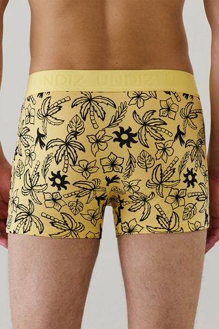Boxer Repeatiz - Jaune