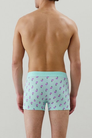 Boxer Repeatiz - Vert d’eau