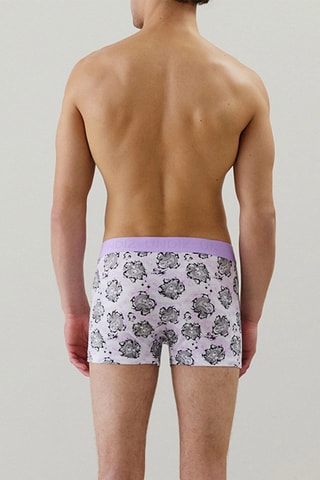 Boxer Repeatiz - Mauve
