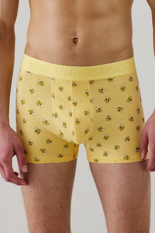 Boxer Repeatiz - Jaune
