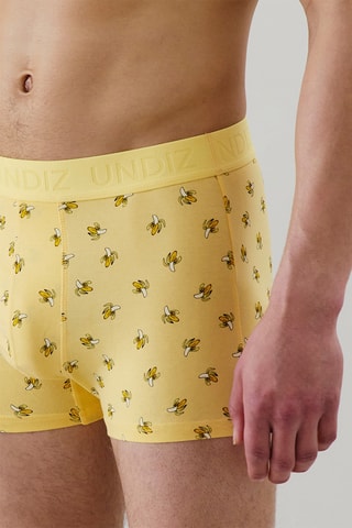 Boxer Repeatiz - Jaune