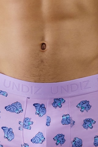 Boxer Repeatiz - Mauve