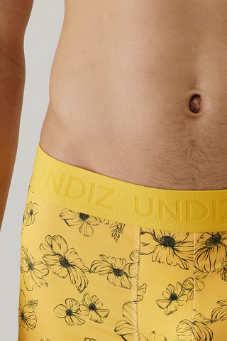 Boxer Repeatiz - Jaune
