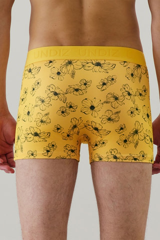 Boxer Repeatiz - Jaune