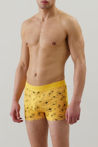 Boxer Repeatiz - Jaune
