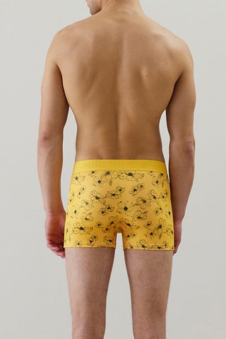 Boxer Repeatiz - Jaune