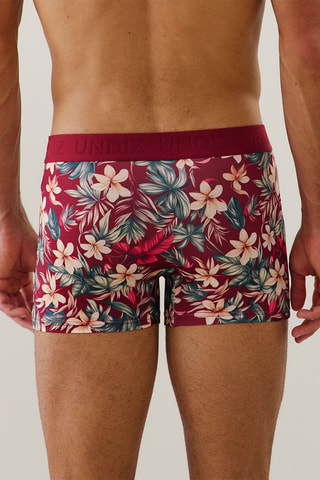 Boxer Laceboxiz - Bordeaux