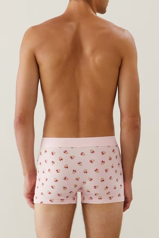 Boxer Repeatiz mimichampiz - Rose