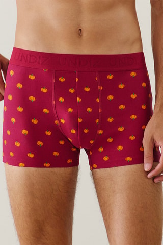 Boxer Repeatiz - Bordeaux