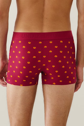 Boxer Repeatiz - Bordeaux