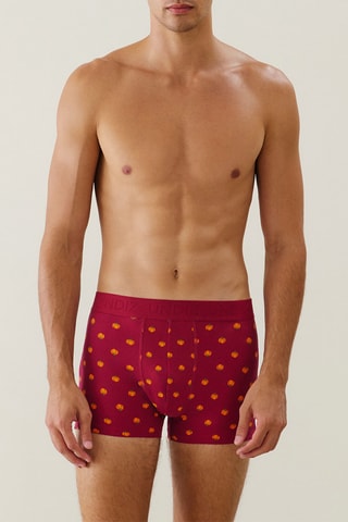 Boxer Repeatiz - Bordeaux