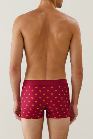 Boxer Repeatiz - Bordeaux