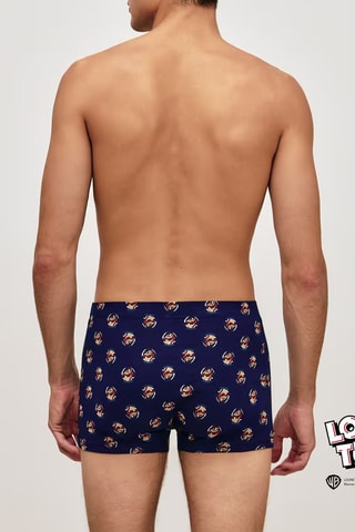 Boxer Taz Looney Tunes - Bleu marine