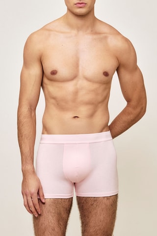 Boxer Incrmeufiz - Rose