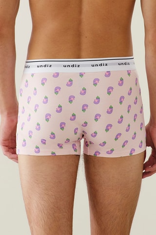 Boxer Boxeruniz - Rose