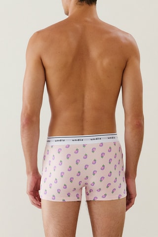 Boxer Boxeruniz - Rose