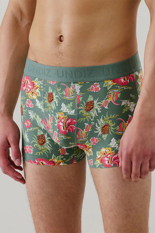 Boxer Boxeruniz - Vert foncé