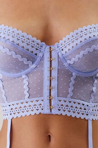 Corset Plumetigraphiz - Mauve
