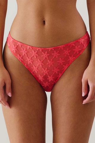 Culotte Tortueiz - Corail