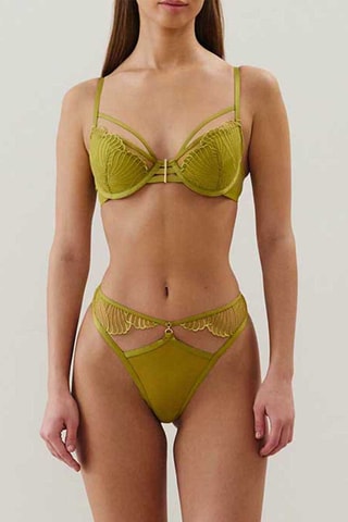 Culotte Leilaiz - Vert olive