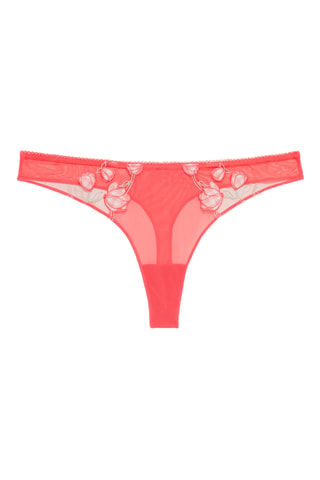 String Rominaiz - Corail