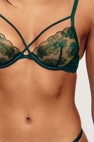 Soutien-gorge Brodmeshiz - Vert foncé