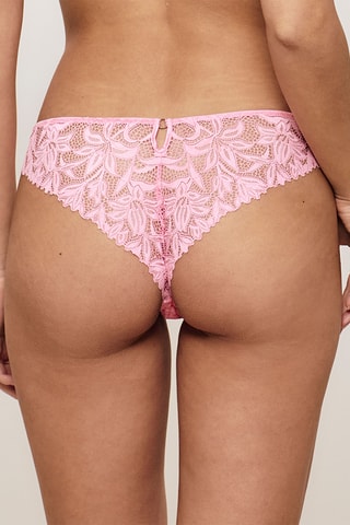 Tanga Agaviz - Rose