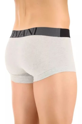 Boxer - Gris chiné