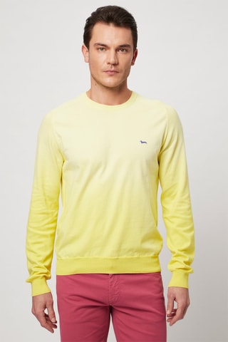 Pull - Harmont & Blaine - Jaune et bleu