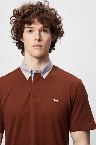 Polo - Harmont & Blaine - Marron foncé