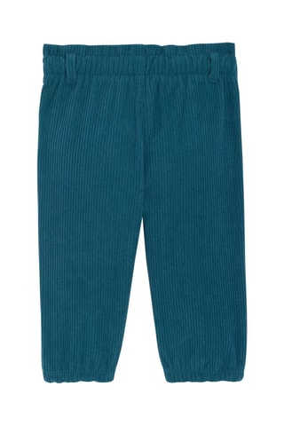 Pantalon en velours - Vert - Obaïbi