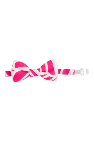 Nœud papillon - Fuchsia et blanc - Okaidi