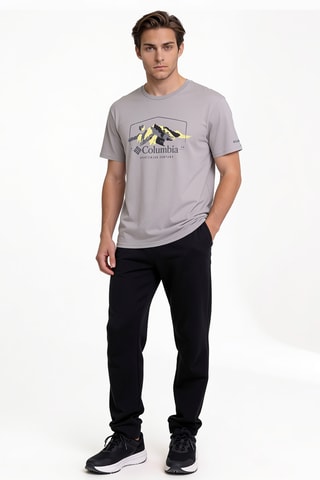 T-shirt regular en coton biologique Path Lake™ II - Gris