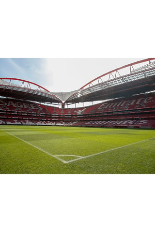 Coffret cadeau Visite du stade de Luz et musée avec écharpe et dîner - Smartbox