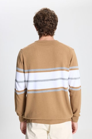 Pull - Blanc et marron