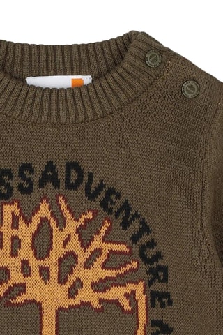 Jersey - Caqui - Timberland
