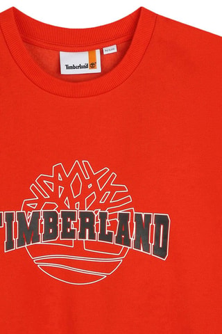 Sudadera de algodón orgánico - Rojo - Timberland