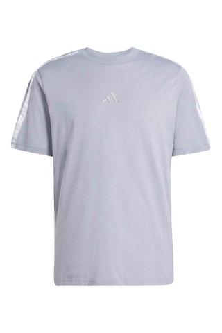 T-shirt regular d’entraînement Seasonals - Gris clair
