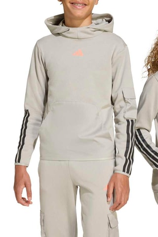 Sweat à capuche Urban Outdoor - Gris
