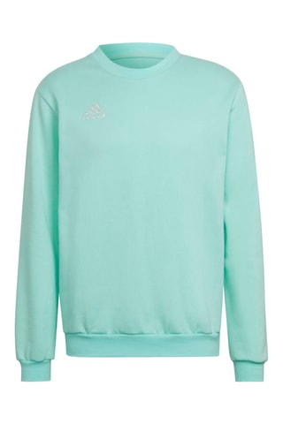 Sweat regular - Vert menthe