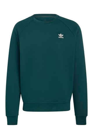 Sweat regular - Vert foncé