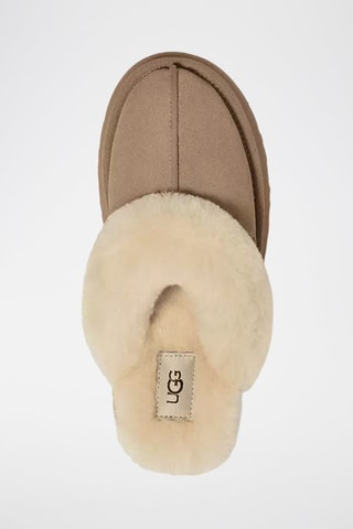 Low boots fourrés en nubuck Disquette - Beige