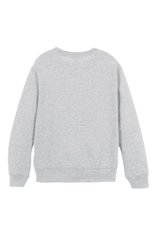 Sweater Yoda Star Wars - Grijs