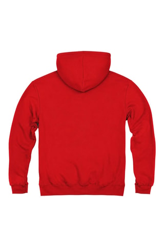 Sweater met Capuchon Harry Potter - Rood