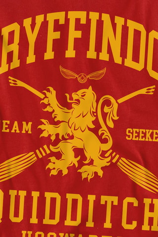 Sweater met Capuchon Harry Potter - Rood