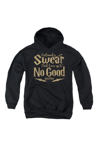 Sweater met Capuchon Harry Potter - Zwart