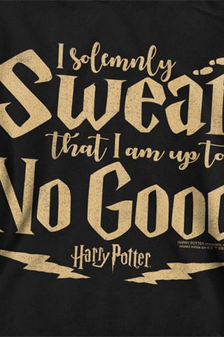 Sweater met Capuchon Harry Potter - Zwart